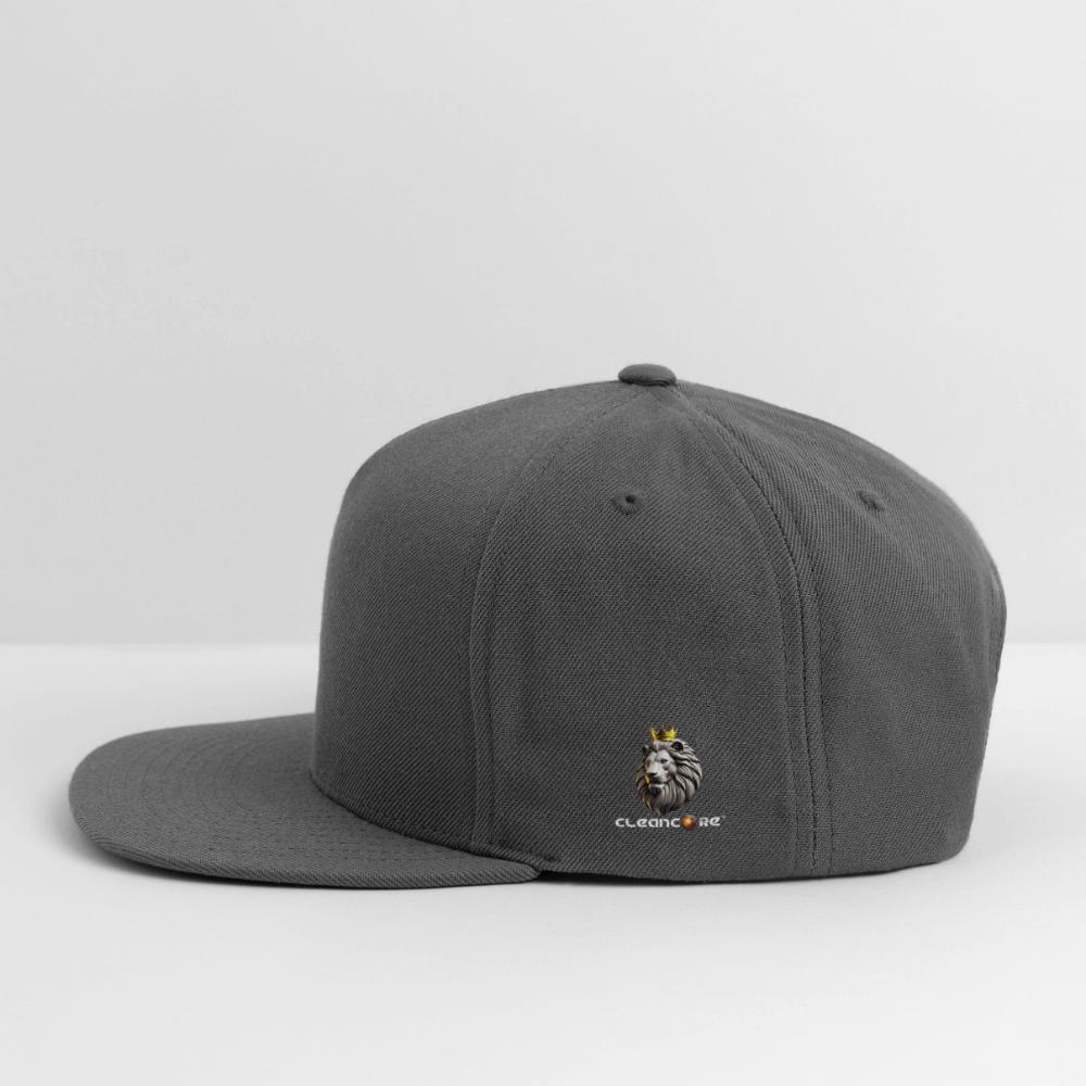 RipStick Snapback Baseball Cap - dark grey